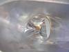 8.1L build up photos.-raylar-cnc-intake-port.jpg