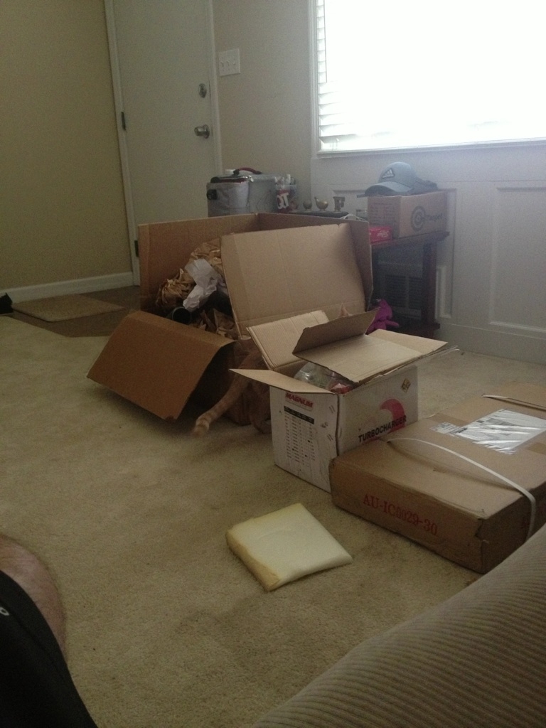 Name:  IMG_38602_zps5f15d5fc.jpg
Views: 8
Size:  343.4 KB