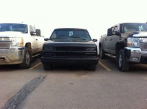 Name:  blackieblackfront3.jpg
Views: 1352
Size:  7.8 KB