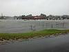 Who's ready for SANDY. People are in freak mode-harpoons.jpg