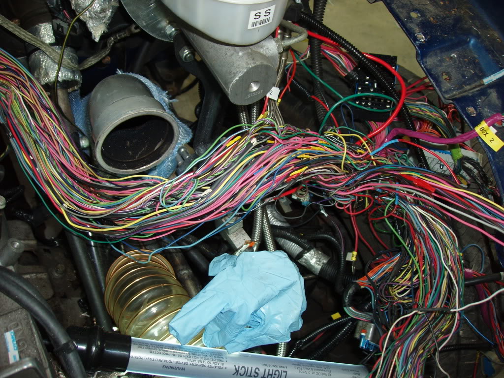 Name: P1010023.jpg
Views: 852
Size: 236.6 KB
