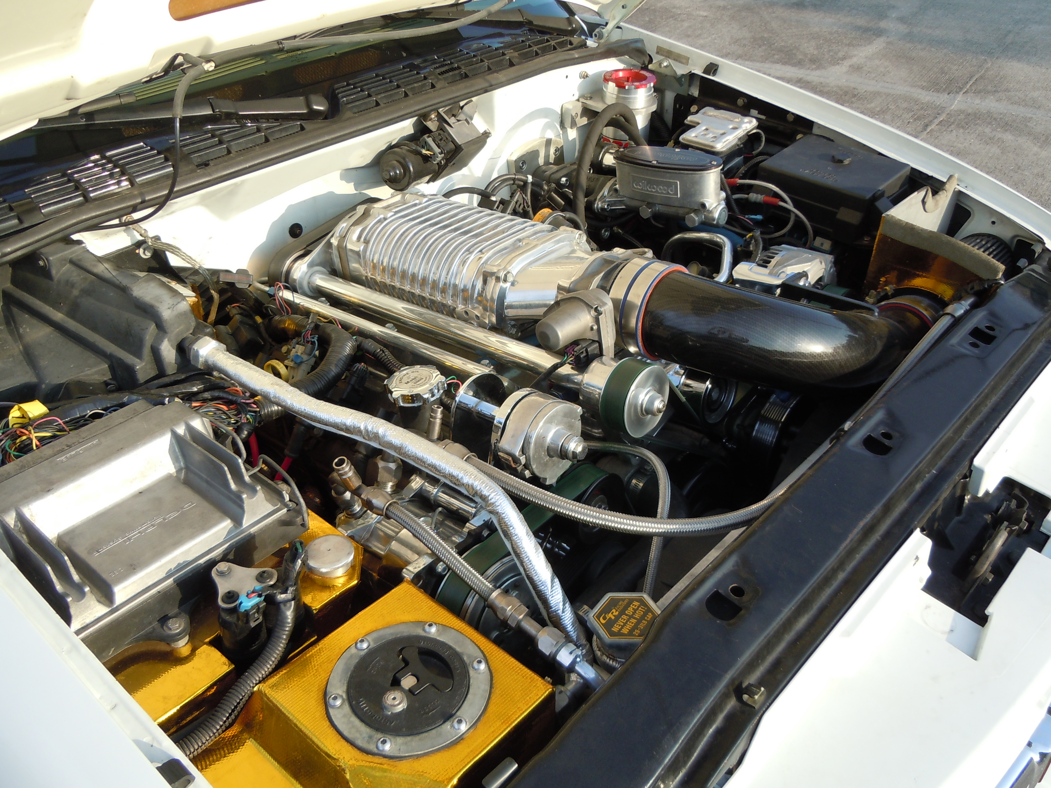 Name:  DSCN0730.jpg
Views: 213
Size:  2.68 MB