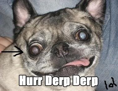 Name:  637247b4.jpg
Views: 26
Size:  31.5 KB