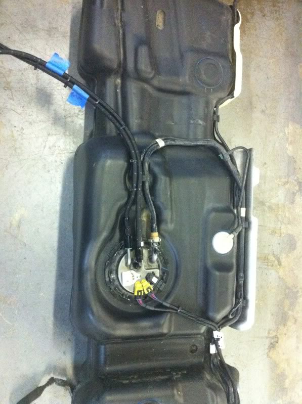 Name: fuelsystem2013.jpg
Views: 607
Size: 91.3 KB