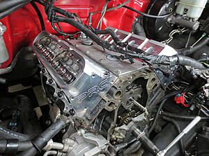 Cracked 317 heads-xgymyrm.jpg