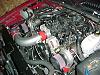 update on twinturbo project with more pics!-assembly.jpg