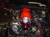 Its almost time..........-dsc03266.jpg