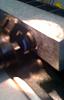 New 2300 Massive intercooler. :)-photo-52-.jpg