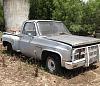 My first build- 1981 chevy c10 with turbo'd 5.3-image.jpg