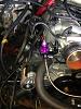 Any ProCharger guys ever run the HoB DD bracket system?-img953180_resized.jpg