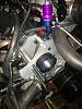 Any ProCharger guys ever run the HoB DD bracket system?-img953188_resized.jpg