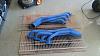 2015 Whipplerado project-0-blue-headers.jpg