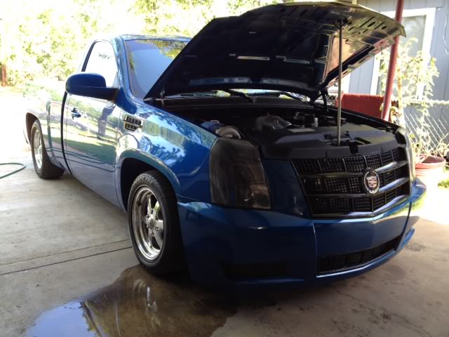 Name:  clade.jpg
Views: 165
Size:  60.1 KB