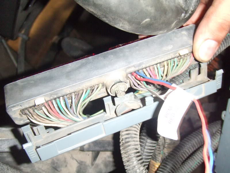 Name:  DSCF2403.jpg
Views: 1503
Size:  75.7 KB