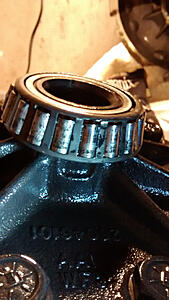 8.6 reared noise-dpzcwfv.jpg