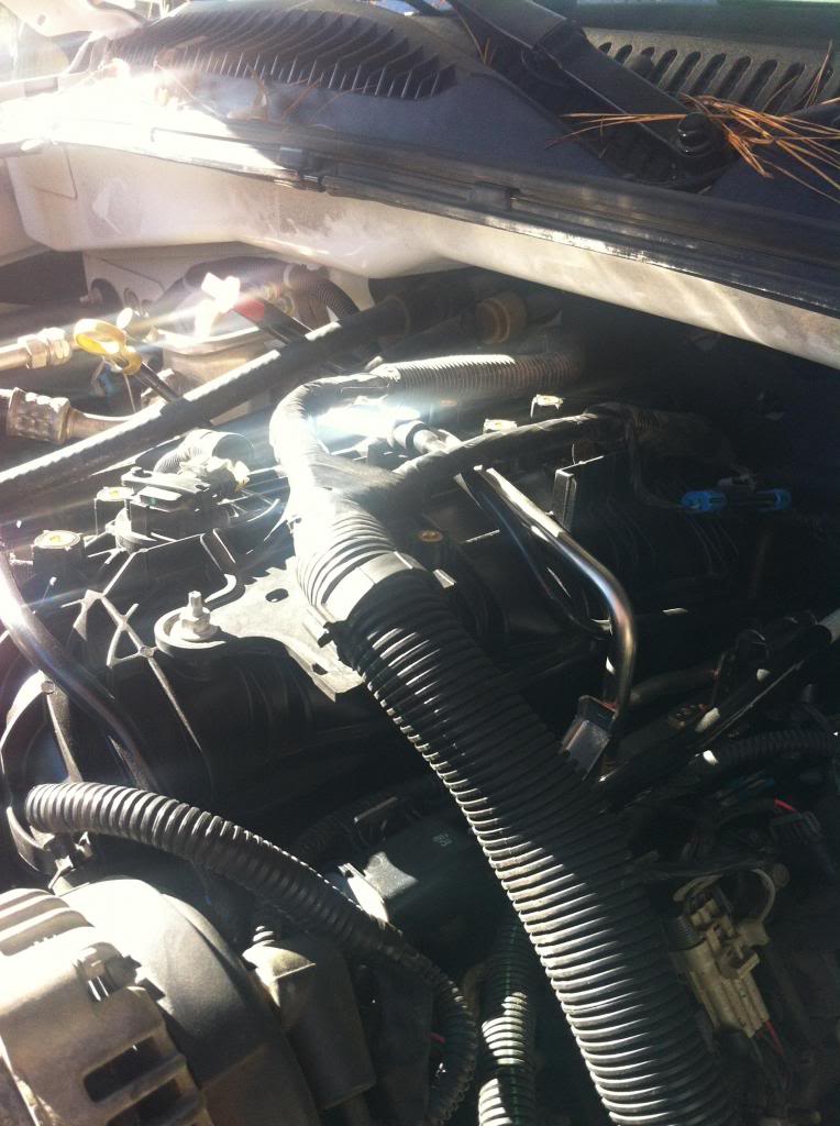 Name: photo56.jpg
Views: 2023
Size: 97.1 KB