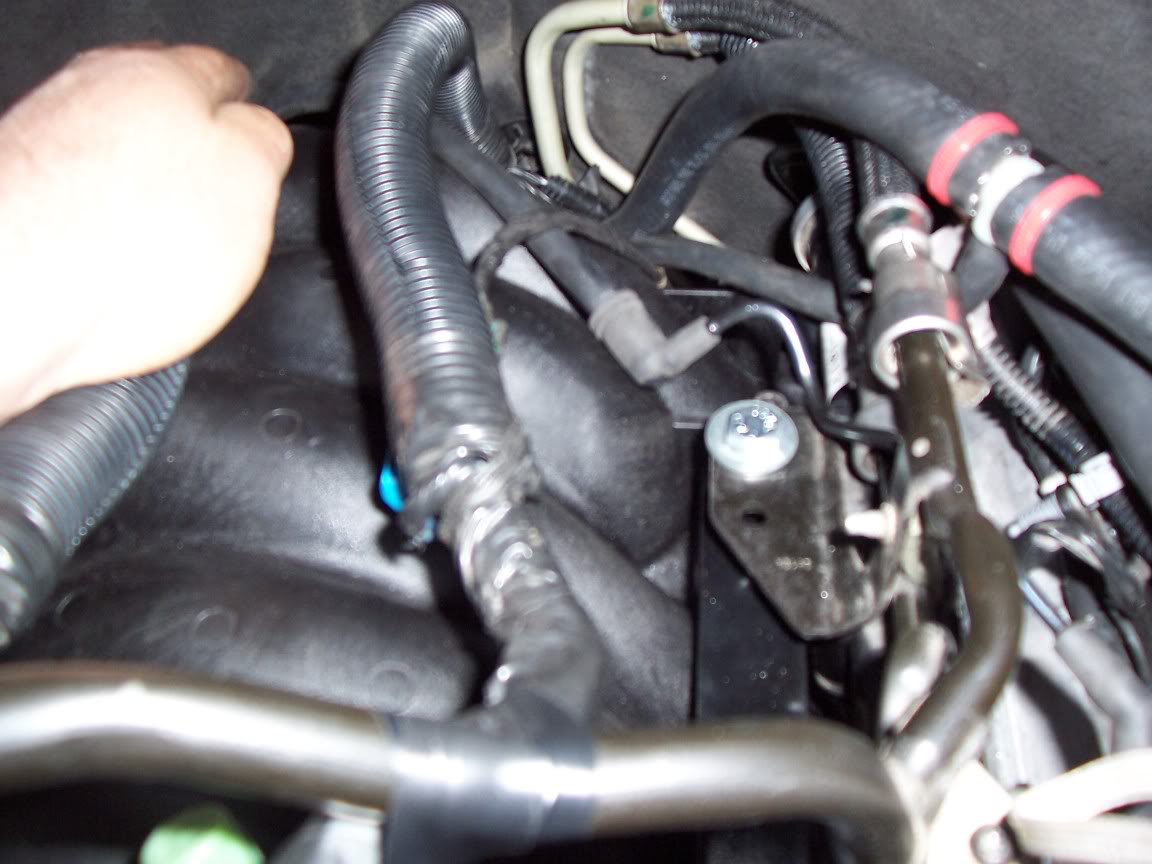 Name:  fpr.jpg
Views: 13107
Size:  102.4 KB