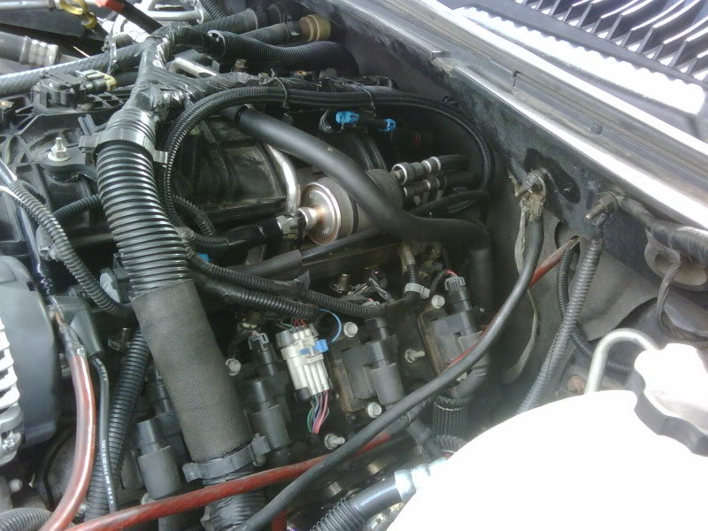 Name:  IMG00166.jpg
Views: 13044
Size:  102.4 KB