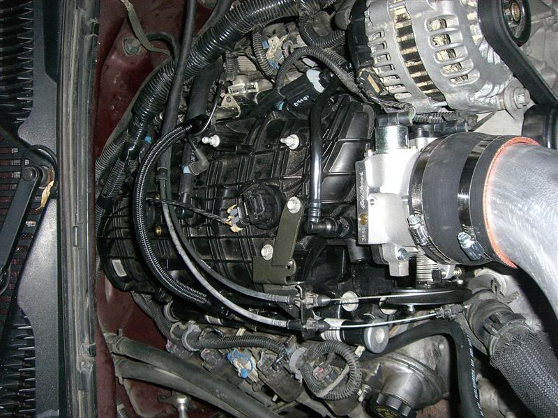 Name:  CIMG3941Medium.jpg
Views: 9532
Size:  106.9 KB