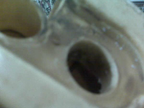 Name: l_4a026bb355154036a637291a6c33547b.jpg
Views: 2197
Size: 12.1 KB