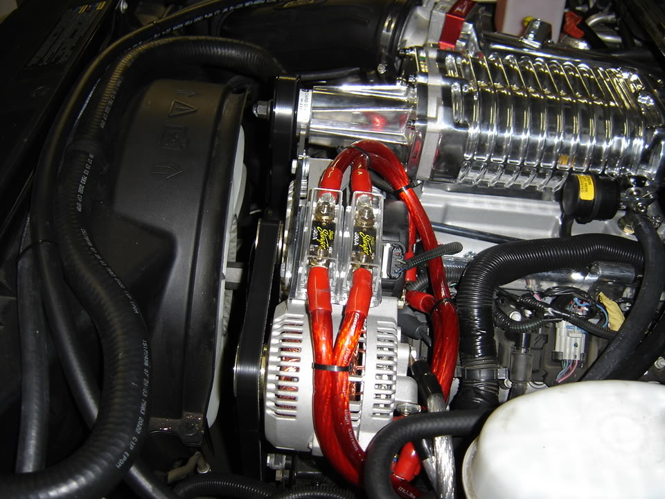 Name:  DSC03677.jpg
Views: 88
Size:  145.2 KB