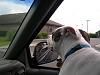 What are you doing for theft deterrent?-picture-121.jpg