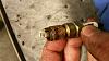 Look at my plug-20160912_185753.jpg