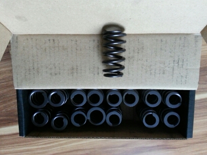Name:  springs2.jpg
Views: 15
Size:  99.4 KB