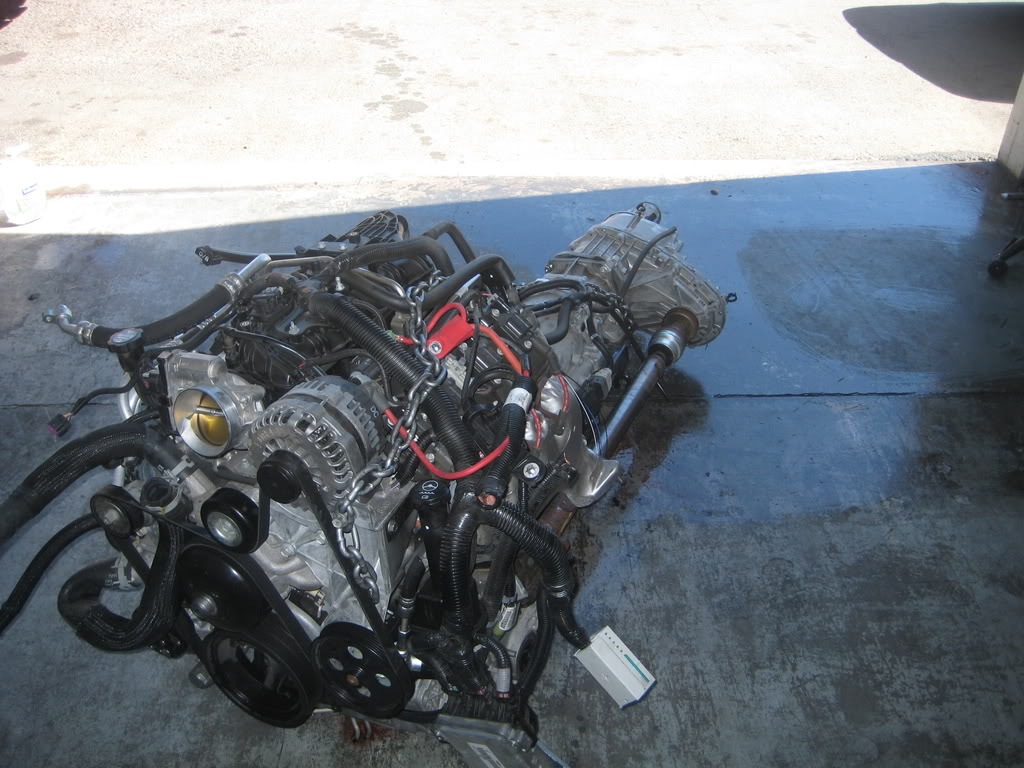 Name:  tbsstrannyforsale.jpg
Views: 2707
Size:  142.5 KB