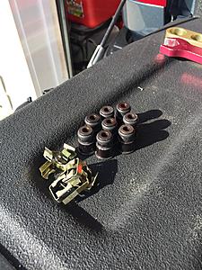 Flex fuel injectors, height adapters, holley fuel rails, throttle body-img_0219.jpg