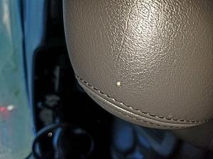 SS Headrests-ss-2.jpg