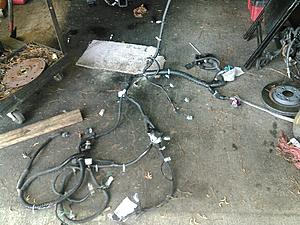 wire hareness-kimg0558.jpg
