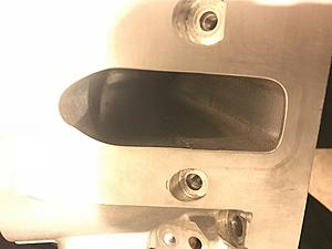 243 heads-img_6117.jpg