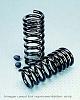 hotchkis drop 2/4-truck_coil.jpg