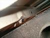 99-06 damaged fleetside bed &amp; good tailgate-truck-parts-007.jpg