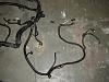 6 Liter Wiring harness-dsc01256.jpg