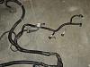 6 Liter Wiring harness-dsc01257.jpg
