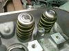 bosch 044 NIB, Zo6 243 heads, Dr x x-link NIB-243-springs.jpg
