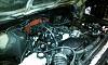 Slightly built 6.0-imag0566.jpg