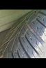 rims,tires and hood-tire17s.jpg