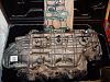 NNBS intake FS-gedc0005.jpg