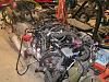 2010 6.0 liter chevy ly6-3n43g33h95i75z25k4cb4dd439ae28b8d1d22.jpg