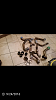 Hot pipes-screenshot_2016-11-02-08-16-38.png