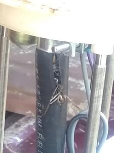 '02 Silverado cranks, no start-dqmjp0i.jpg