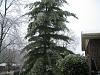Ice...-resized-ice-2005-003.jpg