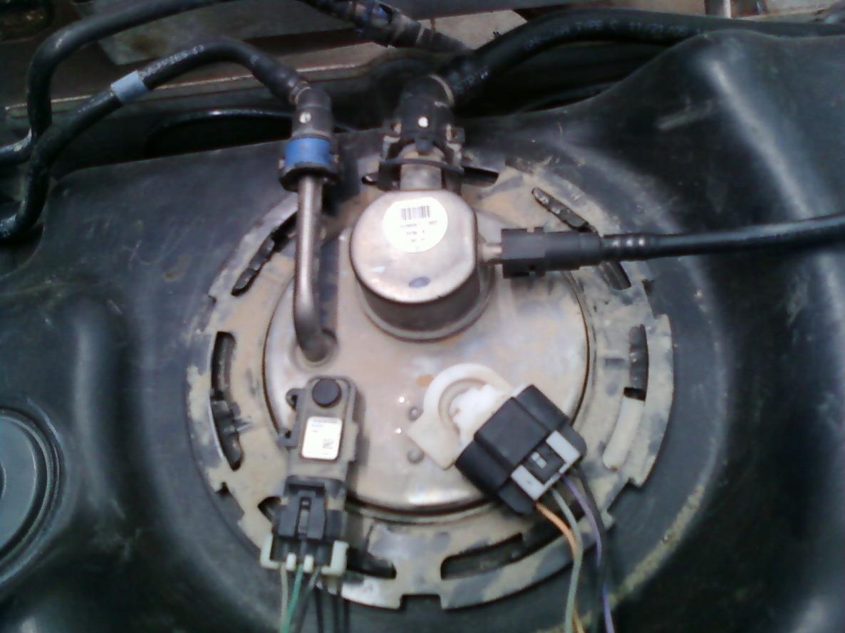 OEM Fuel pump wiring HELP!!! - PerformanceTrucks.net Forums