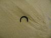 Took apart oil pickup and...-img_1222-2.jpg