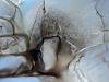 The first oil change.....-dsc01130.jpg