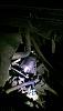 fuel pressure not being regulated with 99-03 vette filter-1425708524915-1736838752.jpg