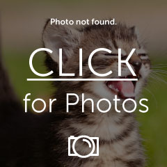 Name:  2012-09-17 16.18.08_zps606f9bcf.jpg
Views: 14
Size:  14.0 KB